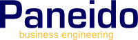Paneido – business engineering